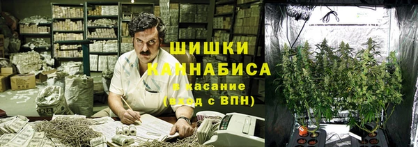ГАЛЛЮЦИНОГЕННЫЕ ГРИБЫ Арсеньев