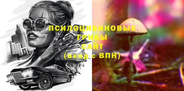 ГАЛЛЮЦИНОГЕННЫЕ ГРИБЫ Арсеньев