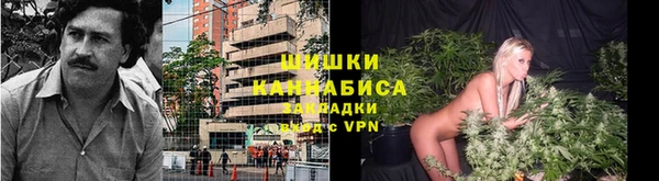 apvp Армянск