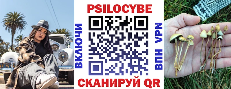 Галлюциногенные грибы Psilocybine cubensis  Чернушка 